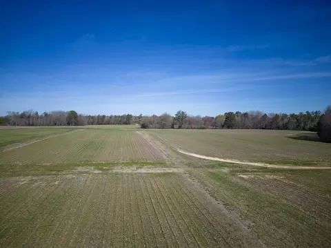 0 Cherry Tree Rd, Gaston, NC 27832 photo 3