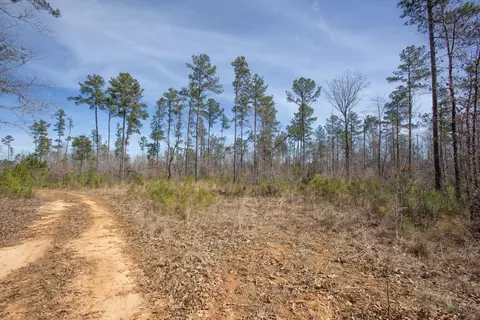 0 Cherry Tree Rd, Gaston, NC 27832 photo 40