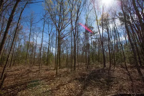0 Cherry Tree Rd, Gaston, NC 27832 photo 34