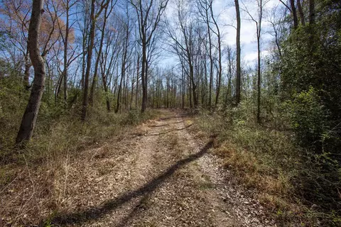 0 Cherry Tree Rd, Gaston, NC 27832 photo 28