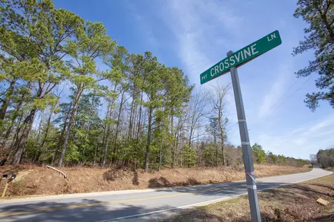 0 Cherry Tree Rd, Gaston, NC 27832 photo 52