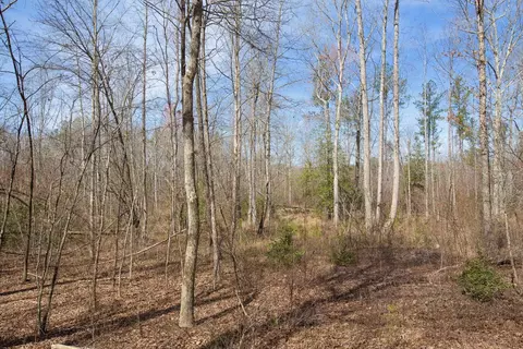 0 Cherry Tree Rd, Gaston, NC 27832 photo 42