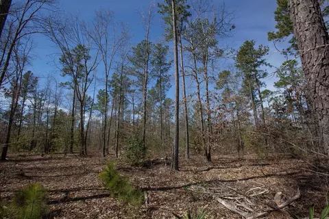 0 Cherry Tree Rd, Gaston, NC 27832 photo 39