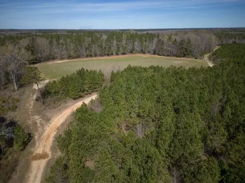 0 Cherry Tree Rd, Gaston, NC 27832 photo 7