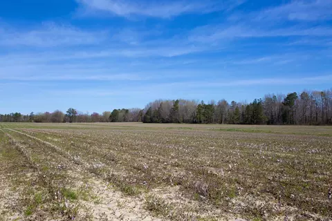 0 Cherry Tree Rd, Gaston, NC 27832 photo 26
