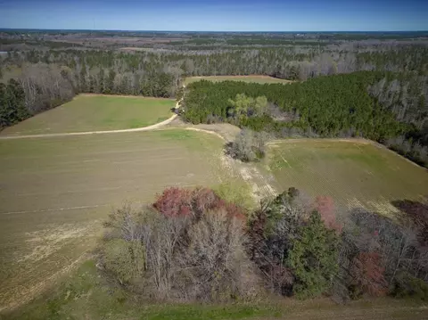 0 Cherry Tree Rd, Gaston, NC 27832 photo 5