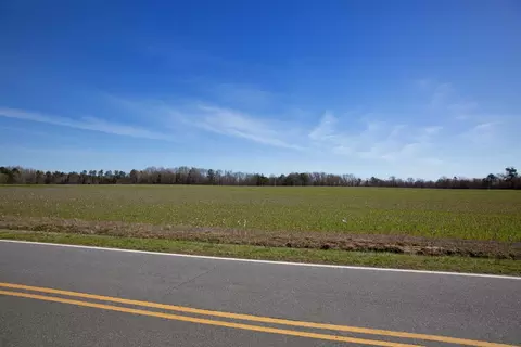 0 Cherry Tree Rd, Gaston, NC 27832 photo 20