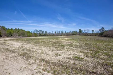 0 Cherry Tree Rd, Gaston, NC 27832 photo 54