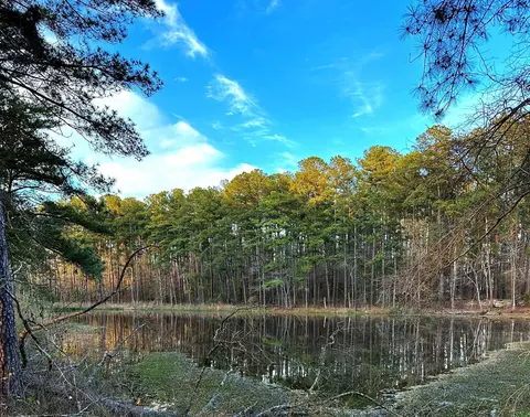 417 Lakeside Dr, Garner, NC 27529 photo 58
