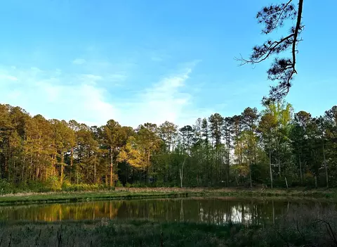 417 Lakeside Dr, Garner, NC 27529 photo 59