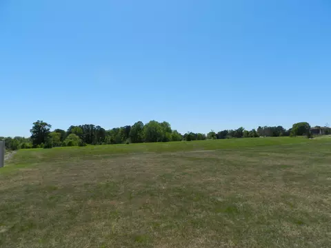 158 Touchdown Way, Benson, NC 27504 photo 29