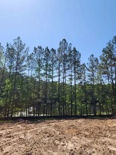 2504 Freedom Ct, Garner, NC 27529 photo 6