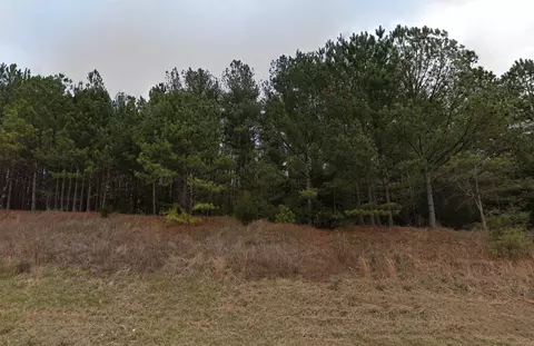 0 Charlie Cooper Rd, Staley, NC 27344 photo 2
