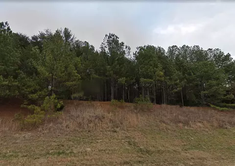 0 Charlie Cooper Rd, Staley, NC 27344 photo 4