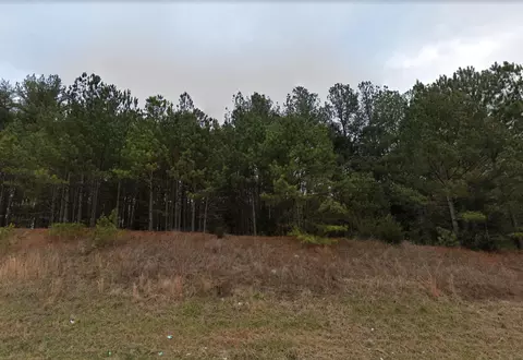 0 Charlie Cooper Rd, Staley, NC 27344 photo 3