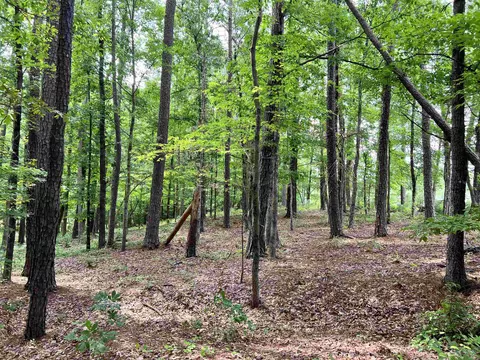 639 Conover Rd, Durham, NC 27703 photo 2