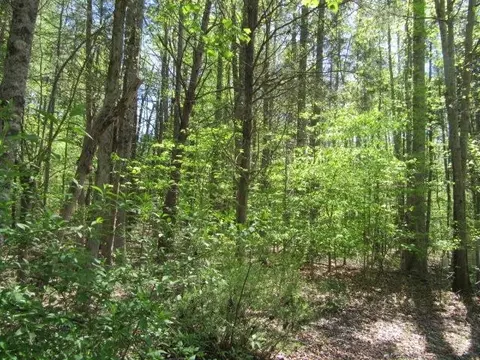 9563 George Ruff Rd, Bullock, NC 27507