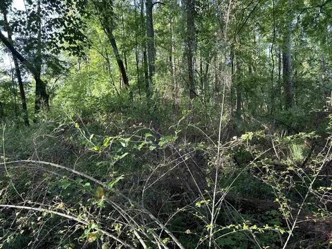 0 Arrowhead Rd, Dunn, NC 28334 photo 30