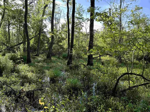 0 Arrowhead Rd, Dunn, NC 28334 photo 36