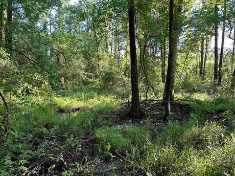 0 Arrowhead Rd, Dunn, NC 28334 photo 32