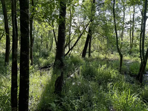 0 Arrowhead Rd, Dunn, NC 28334 photo 33