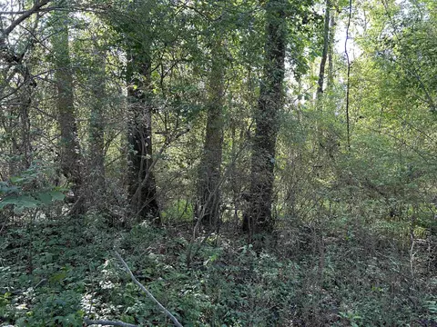 0 Arrowhead Rd, Dunn, NC 28334 photo 40