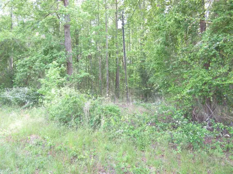 3 23 Acres Woodards Dairy Rd, Kenly, NC 27542