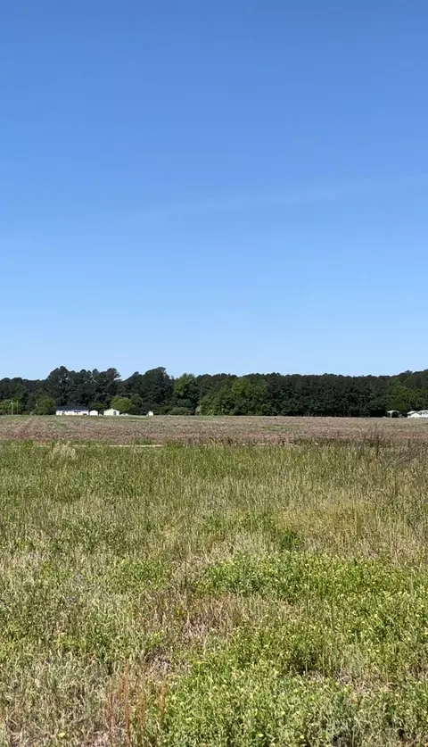 0 Kattie Tart Ln, Dunn, NC 28344
