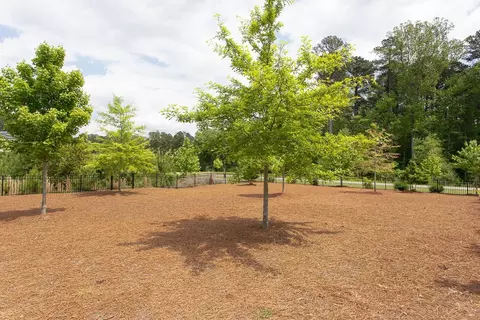 102 Edward Booth Ln, Durham, NC 27713 photo 17
