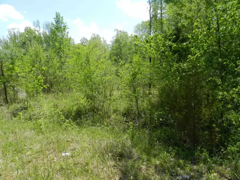 357 Warner Winn Rd, Kittrell, NC 27544 photo 3