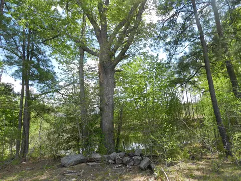 357 Warner Winn Rd, Kittrell, NC 27544 photo 2