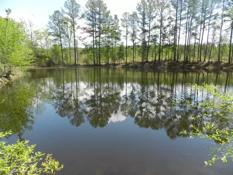 357 Warner Winn Rd, Kittrell, NC 27544