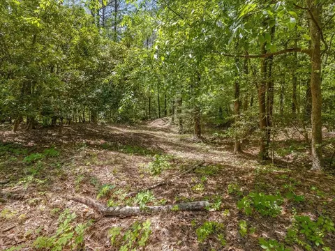 448 River Point Rd, Moncure, NC 27559 photo 38