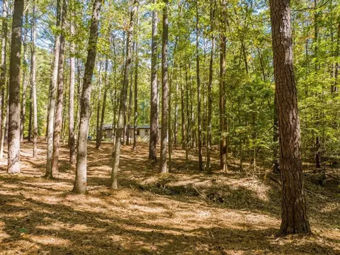448 River Point Rd, Moncure, NC 27559 photo 40