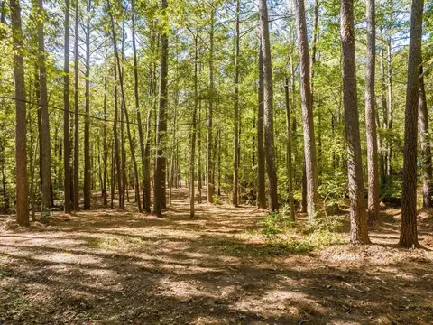 448 River Point Rd, Moncure, NC 27559 photo 41