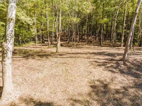 448 River Point Rd, Moncure, NC 27559 photo 4