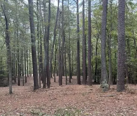 448 River Point Rd, Moncure, NC 27559