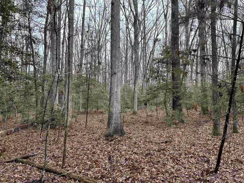 0 Tapp Rd, Hurdle Mills, NC 27541