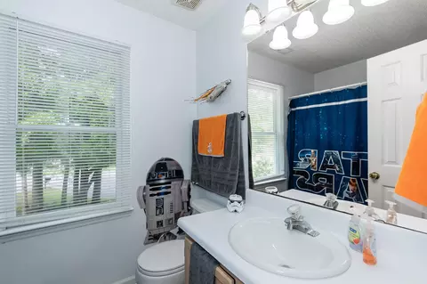 6 Big Bluff Pl, Durham, NC 27712 photo 22