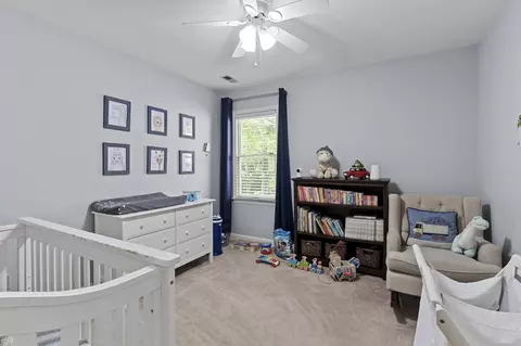 3114 Thistlecone Way, Durham, NC 27707 photo 23