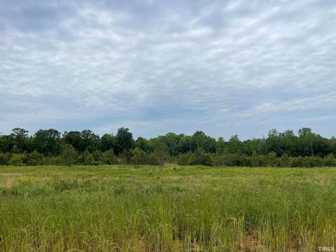 120 Brookhaven Dr, Spring Hope, NC 27882 photo 1