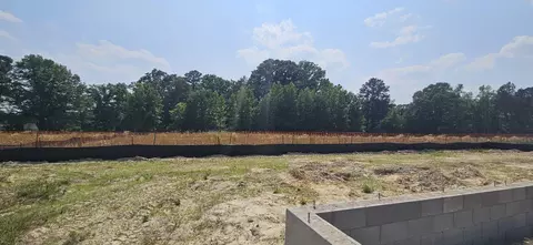 1433 Willow Landing Way, Willow Spring, NC 27592 photo 5