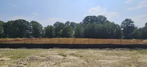 1433 Willow Landing Way, Willow Spring, NC 27592 photo 6