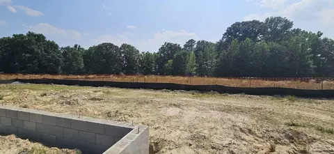 1433 Willow Landing Way, Willow Spring, NC 27592 photo 7