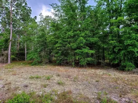 0 Scronce Rd, Harrells, NC 28444 photo 4