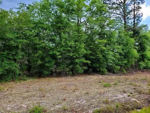 0 Scronce Rd, Harrells, NC 28444 photo 3
