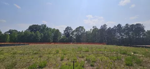 1501 Willow Landing Way, Willow Spring, NC 27592 photo 5