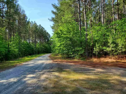 11 Colonial Dr, Ebony, VA 23845 photo 4