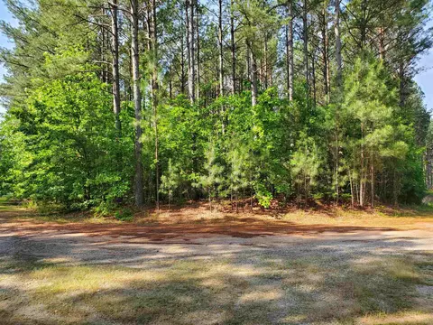 11 Colonial Dr, Ebony, VA 23845 photo 2