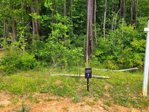 1200 Explorer Trl, Wake Forest, NC 27587 photo 1